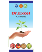 Dr-Excel
