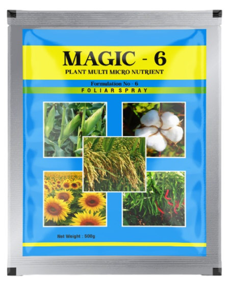 Magic-6
