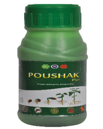 Poushak